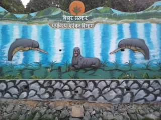 Dolphin-park
